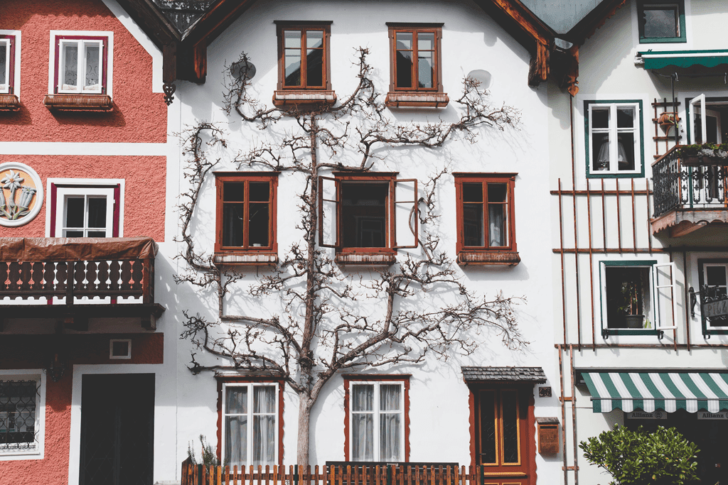 Assurance locataire vs propriétaire