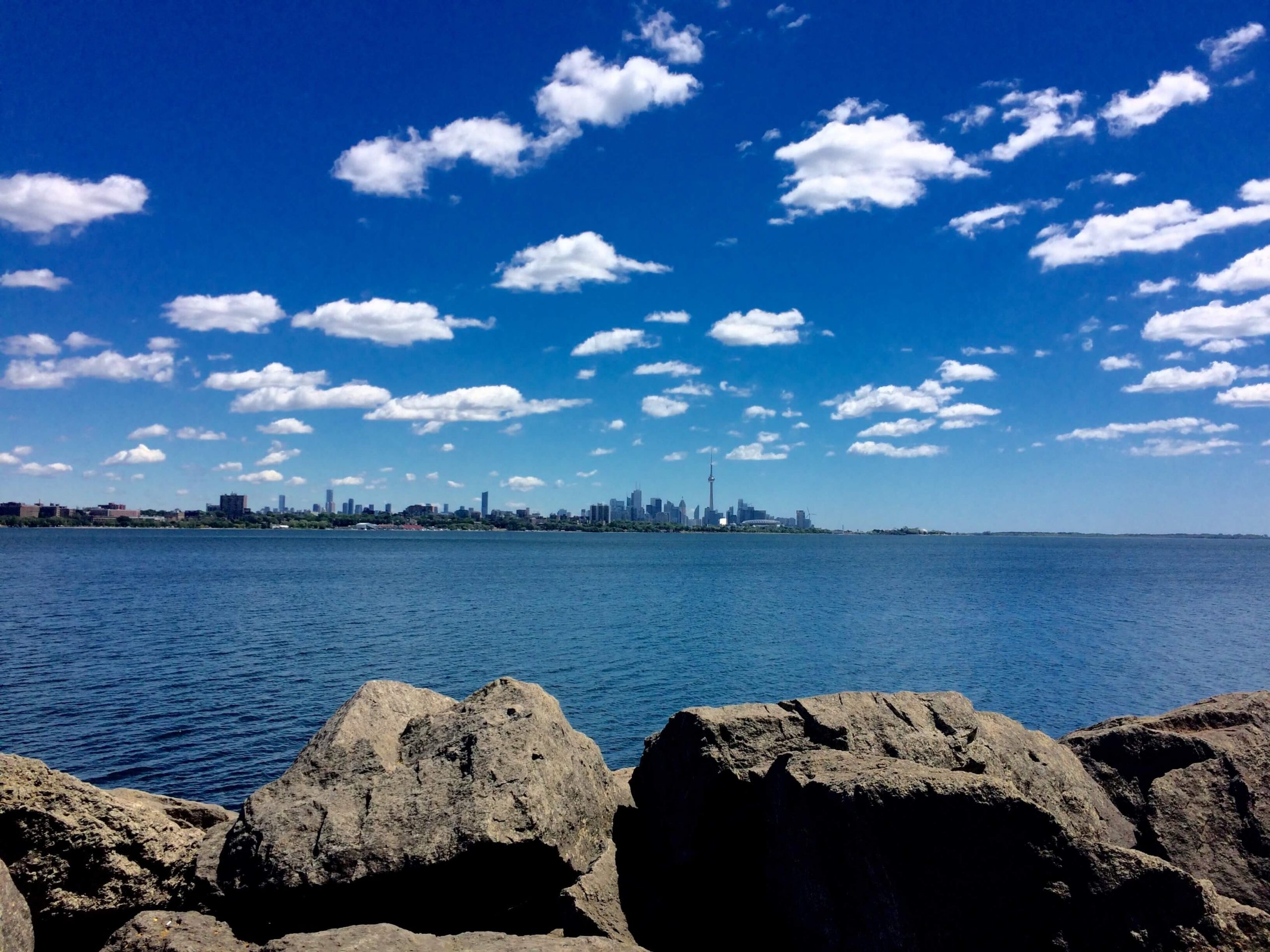 Top 5 Best Storage Units in Etobicoke