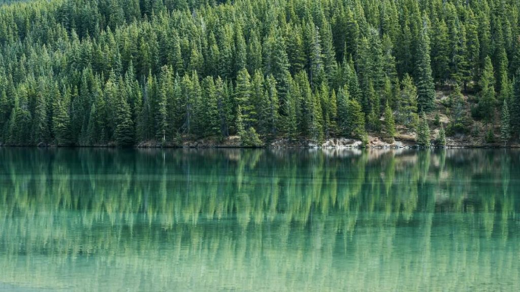 Banff - Internet