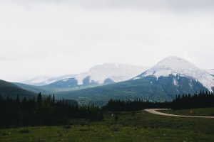 Bragg Creek - Internet
