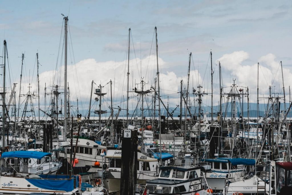 Parksville - Moving Truck