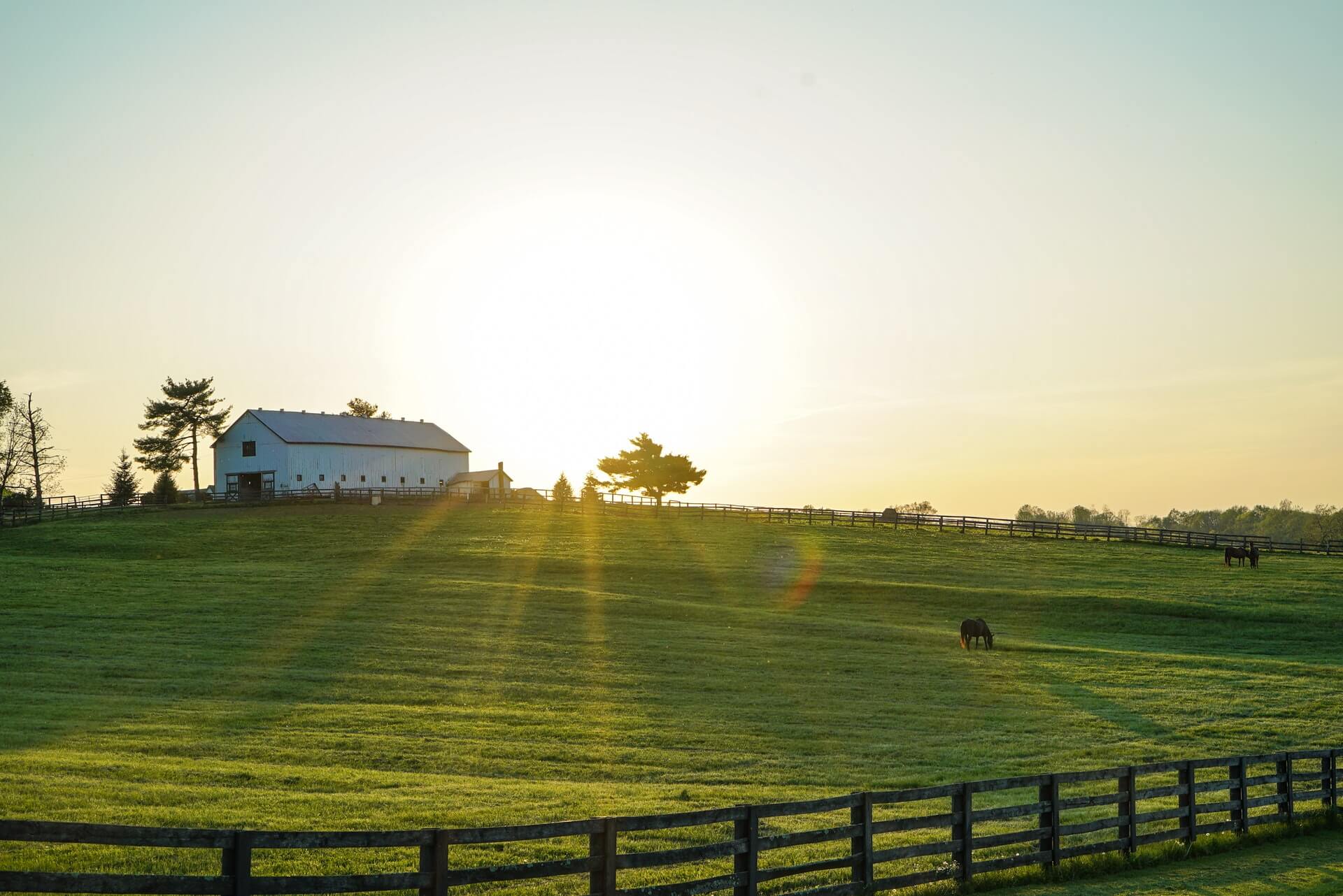 7 Things to know and do before moving to Kentucky