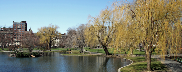 Top 7 Safest Neighborhoods To Live In Boston With The Best Quality Of   Winchester Boston 