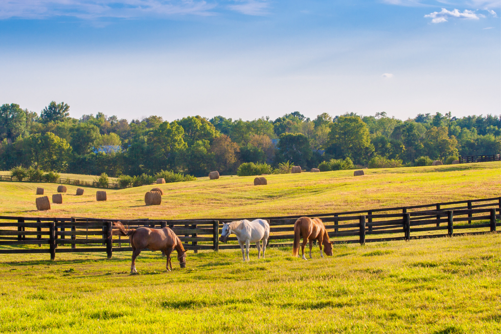 Best places to live in Kentucky