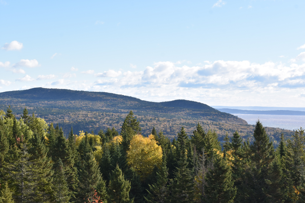 Best places to live in New Brunswick 