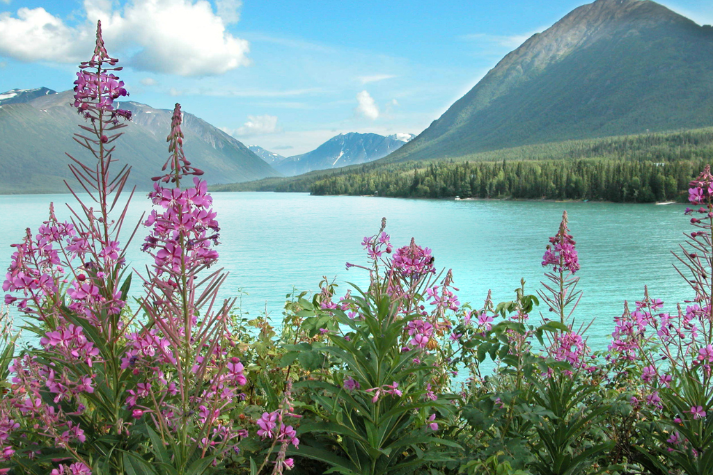 Best places to live in Alaska