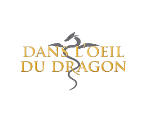 Dans l'oeil du dragon logo