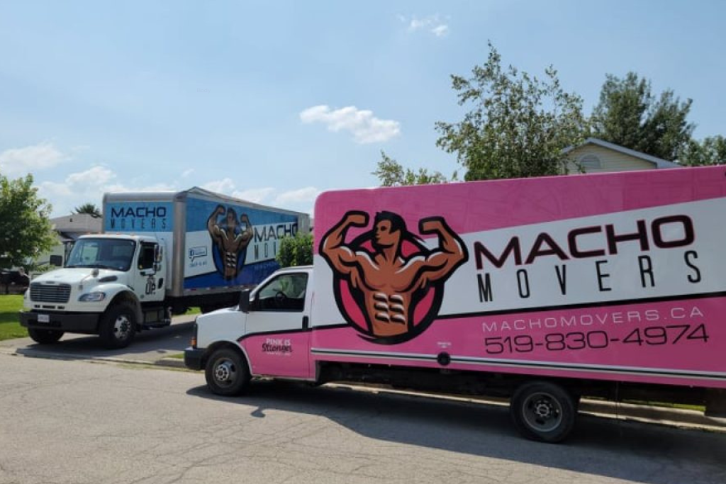 Macho Movers: Reviews