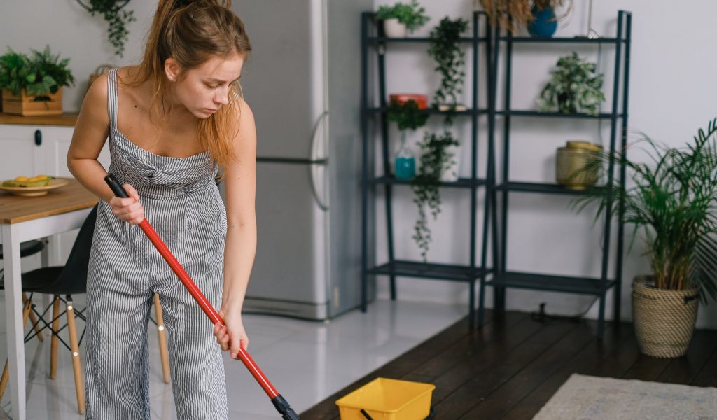 Clean your carpets at home