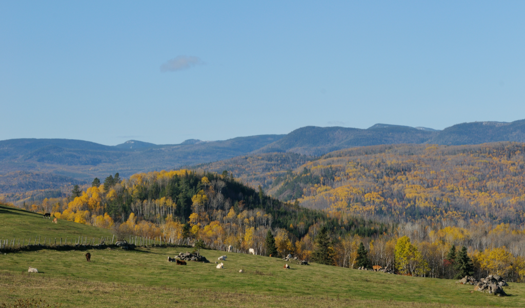 Terrains à vendre laurentides