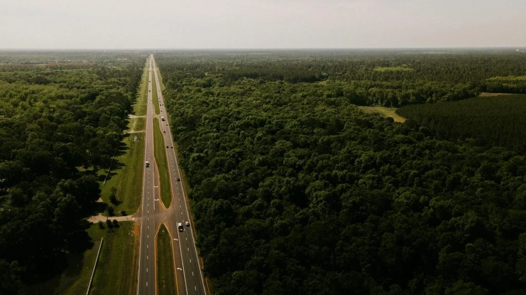 Georgia DMV, Leesburg, GA, USA, United States